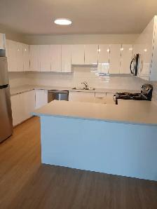 Available Spacious 2 Bedroom August 15 - Photo 3