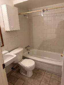 Refreshed 1 Bedroom For Rent - Photo 4