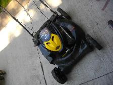 LAWN MOWER FOUND IN SHED  HANDY MAN SPECIAL