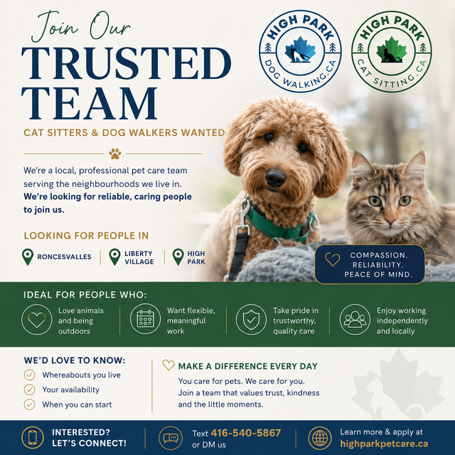 Dog Walker Wanted