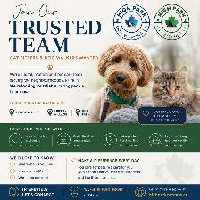 Dog Walker Wanted