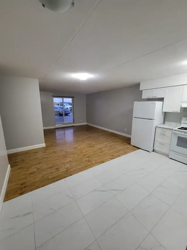 3 Bedroom Apartment Available September in Minnow Lake Area