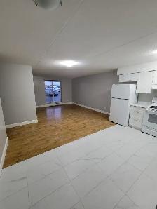 3 Bedroom Apartment Available September in Minnow Lake Area