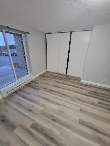3 Bedroom Apartment Available September in Minnow Lake Area - Photo 6