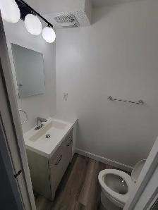 3 Bedroom Apartment Available September in Minnow Lake Area - Photo 7