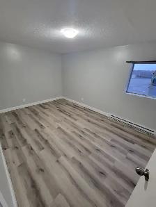 3 Bedroom Apartment Available September in Minnow Lake Area - Photo 8