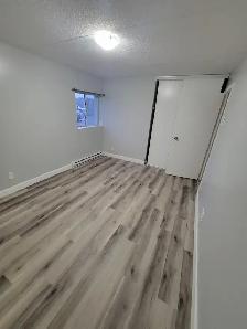 3 Bedroom Apartment Available September in Minnow Lake Area - Photo 9
