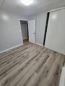 3 Bedroom Apartment Available September in Minnow Lake Area - Photo 10