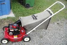 SNAPPER REAR BAG GAS LAWNMOWER - Photo 3