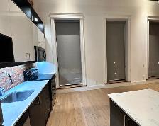 One Bedroom Luxury Loft $1785 ( 2 Beds $2195) - Photo 3