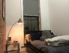 One Bedroom Luxury Loft $1785 ( 2 Beds $2195) - Photo 9
