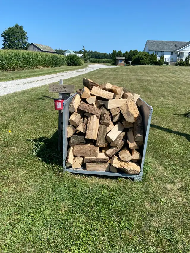 Seasoned ash firewood