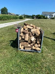 Seasoned ash firewood