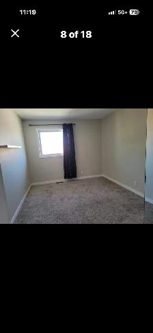 Sylvan lake pet friendly 5 bedroom - Photo 8