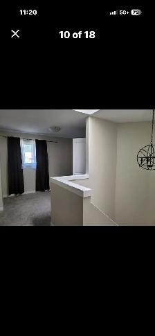 Sylvan lake pet friendly 5 bedroom - Photo 10