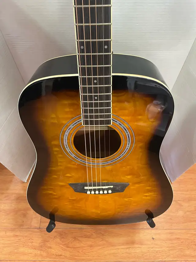 Washburn Acoustic Guitar Pack