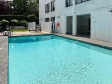 1 Bedroom Apartment for Rent - 1755 Haro Street - Photo 7