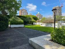 1 Bedroom Apartment for Rent - 1755 Haro Street - Photo 11