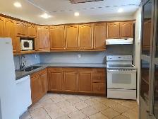Spectacular 2 bedroom for rent! - Photo 4