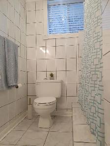 Spectacular 2 bedroom for rent! - Photo 5