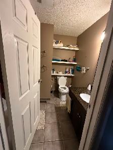 560$/month included everything in LAKEVIEW AREA- center mall - Photo 3