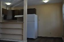 Chinook one bedroom apartment - Photo 8