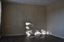 Chinook one bedroom apartment - Photo 9