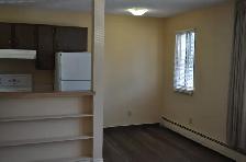 Chinook one bedroom apartment - Photo 10