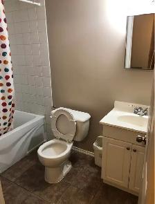 Basement Room For Rent (Single Working Females or Students Only) - Photo 8