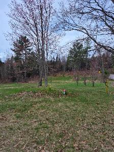 Vacant land for sale - Lot 2 Viburnum Vale, Mattawan Twp, On - Photo 2