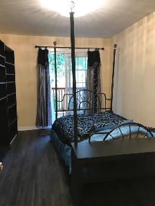 Bachelor Studio for rent York Mills Rd Toronto - Photo 5