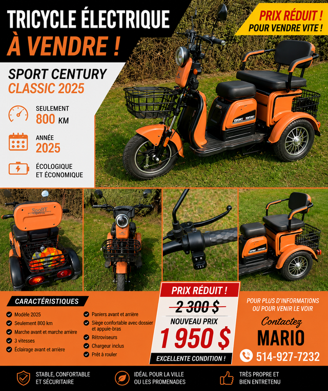 tricycle electrique