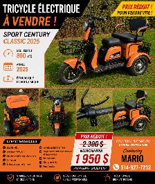 tricycle electrique
