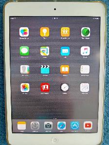 iPad mini, Mint Condition - $80 - Photo 2