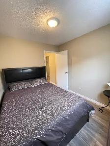 FOR RENT 1 bd apartment11916-105 St  Edmonton,AB - Photo 3