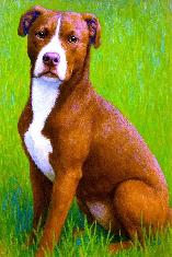 Lost / Taken Staffordshire terrior