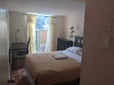 FULLY FURNISHED ONE BEDROOM UNIT - Photo 2