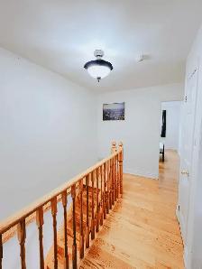 Spacious room for rent in Scarborough - Photo 7