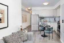 One-Bedroom Apartment Available for Short-Term /Long-Term Lease - Photo 4