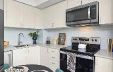 One-Bedroom Apartment Available for Short-Term /Long-Term Lease - Photo 7