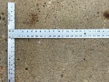 4’ or 48" Drywall T-Square. Very Nice Shape. - Photo 5