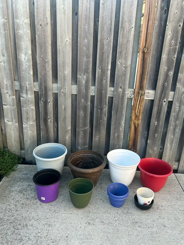 Variety of Flowers Pots