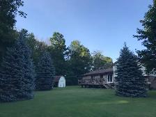 Split Level House 2-car Garage 1 ac. lot in the country - Photo 5