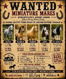 ISO: Miniature mare’s