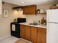 Basement for Rent by UTSC / Centennial College - Photo 3