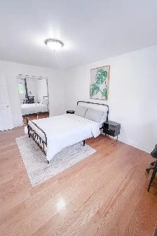 Spacious room for rent (Warden & Finch)