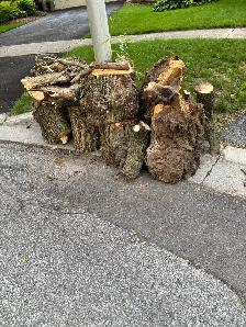 Free firewood on curb for easy pick up!