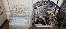 2 Cage pour petit oiseau