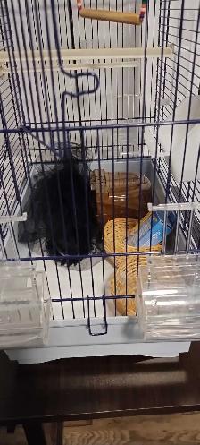 2 Cage pour petit oiseau - Photo 3