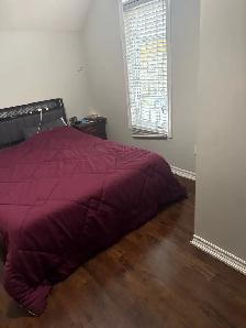 Room for Rent - Photo 3